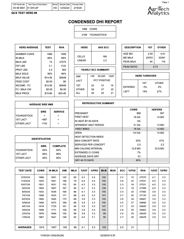 Condensed Report