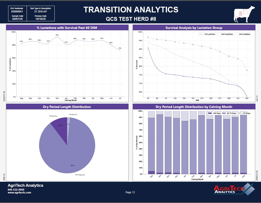 Transition Analytics