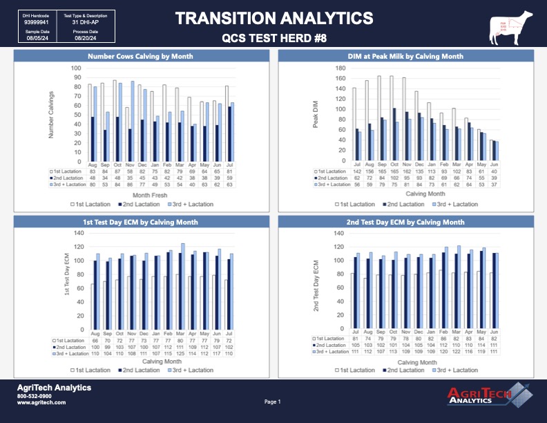 Transition Analytics